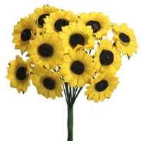 Sonnenblumen mini 